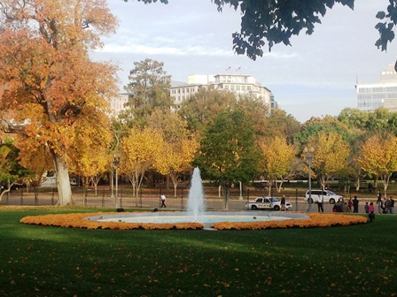 white house_lawn