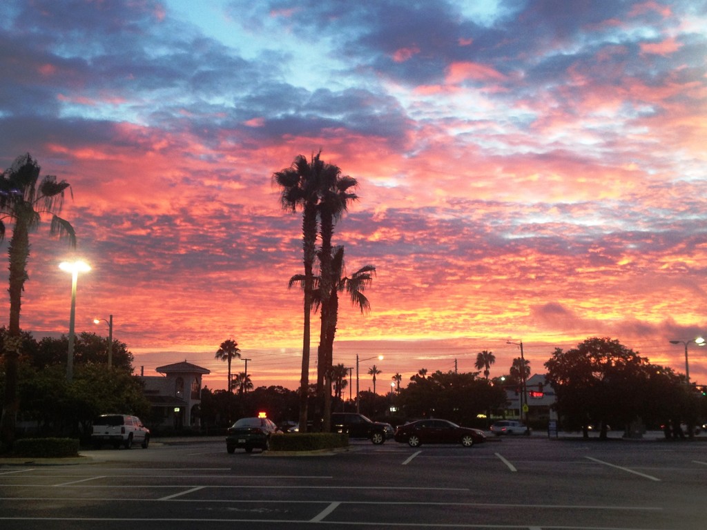 View of the sun rising before my Tampa bike ride