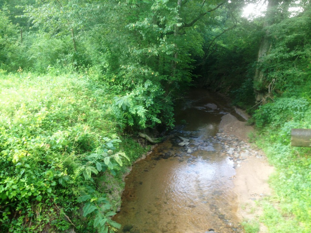 The Chattahoochee River provides some nice running trails and some pretty views.