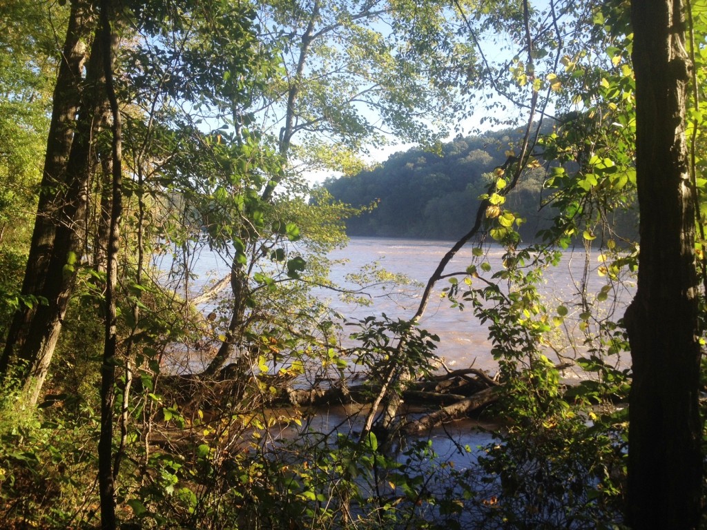 Running at the Chattahoochee River / runladylike.com