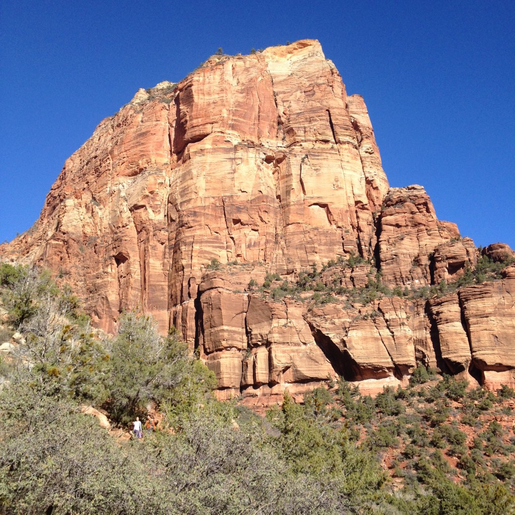 Zion National Park / runladylike.com