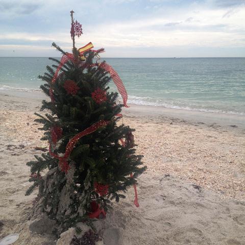 Christmas in Florida