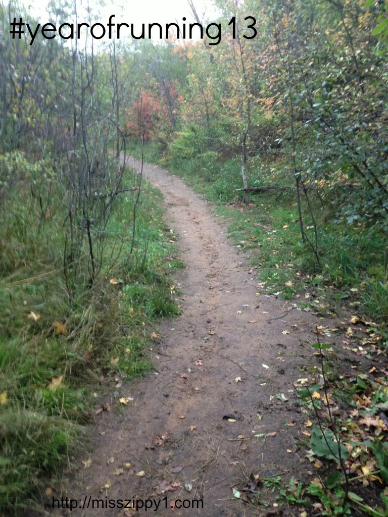My Year of Running on runladylike.com
