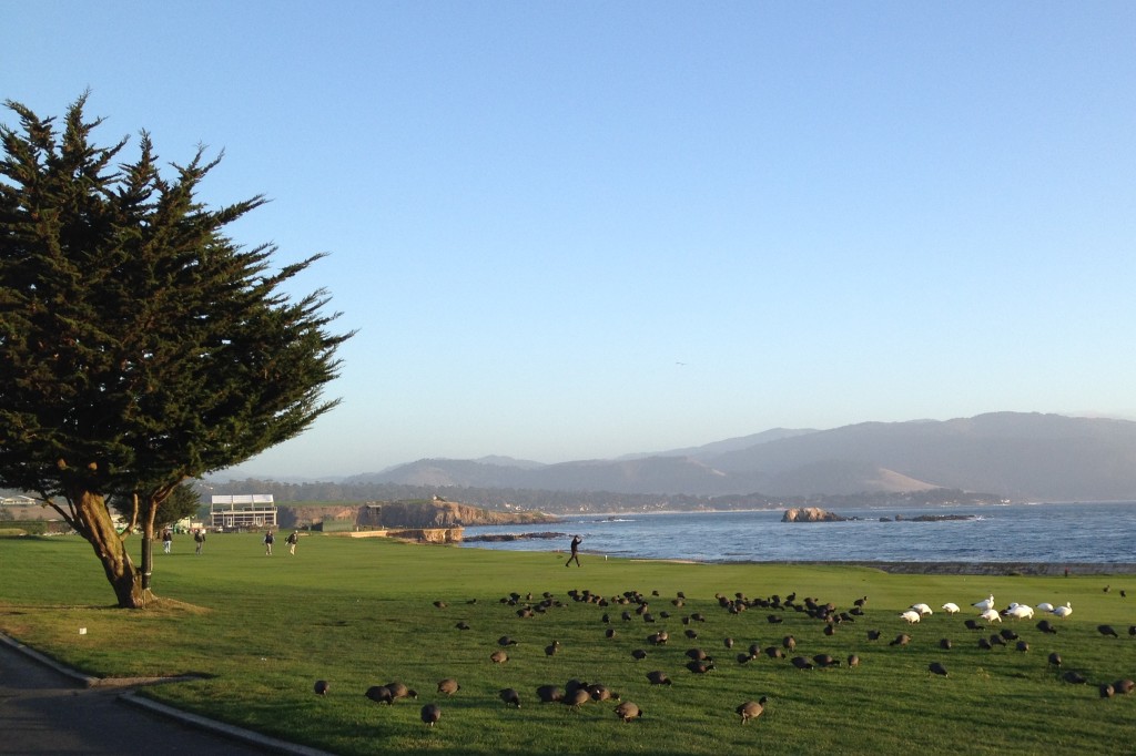 Running in California: Pebble Beach (on runladylike.com)