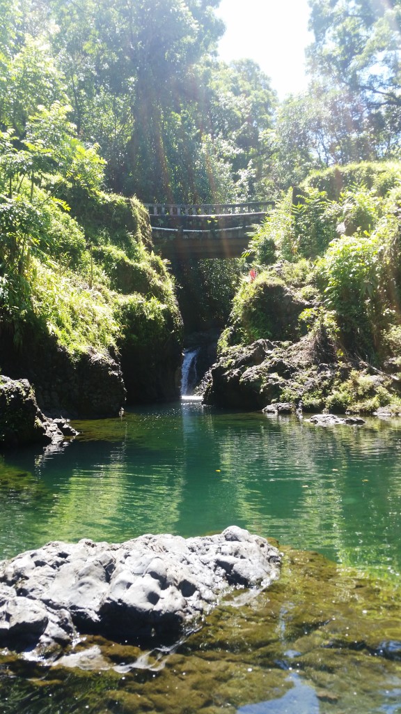 Best things to do in Kauai and Maui on runladylike.com
