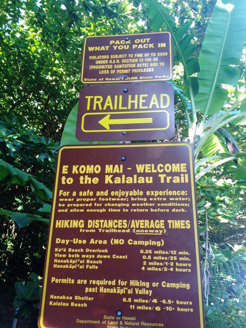 Kauai Marathon race recap on runladylike.com