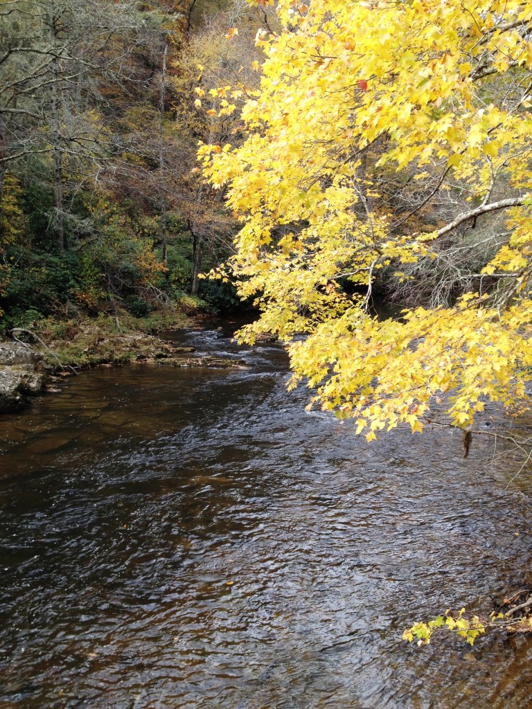 Hiking in North Carolina on runladylike.com