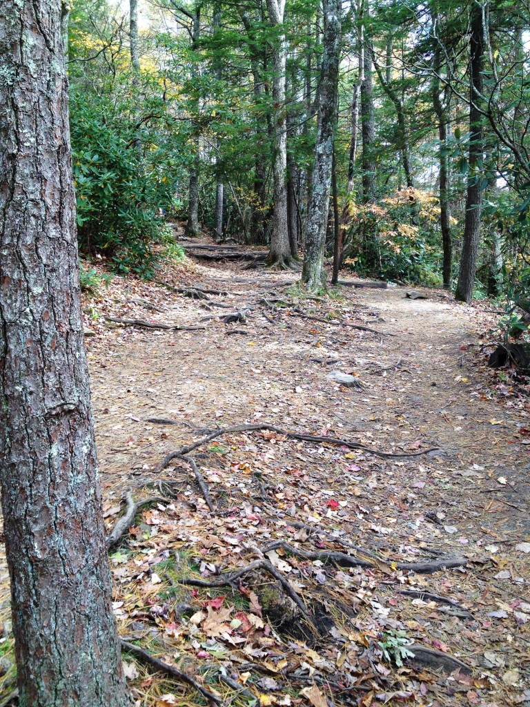 Hiking in North Carolina on runladylike.com