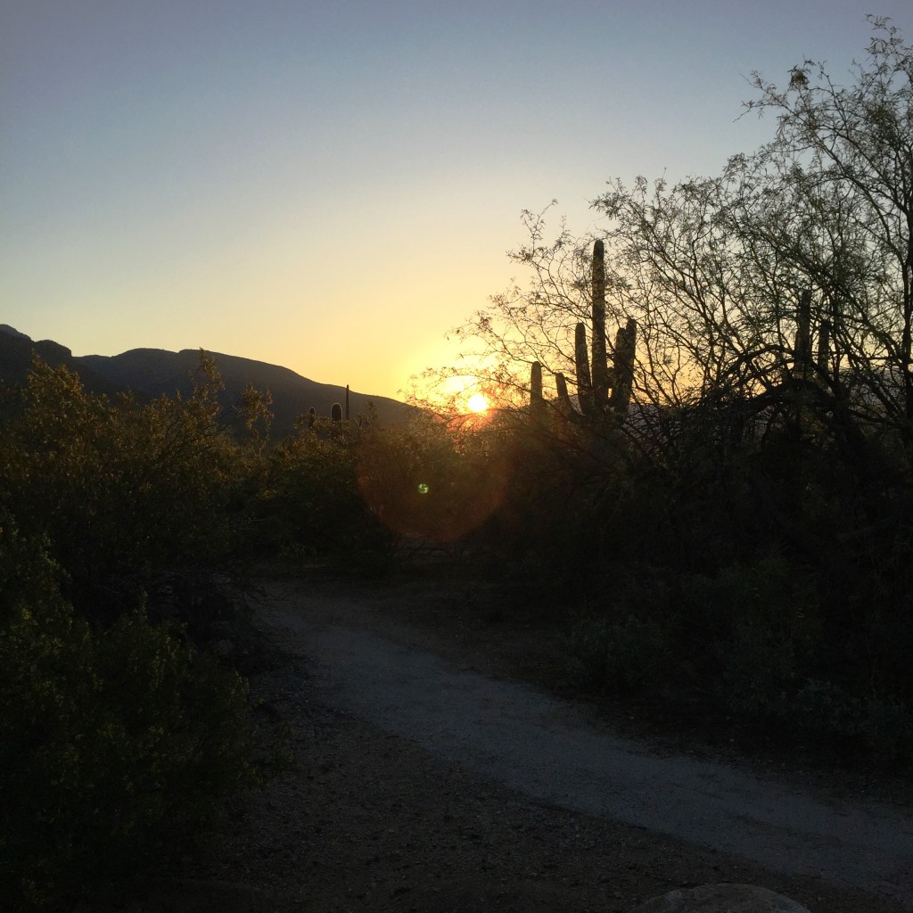 Running in Tucson