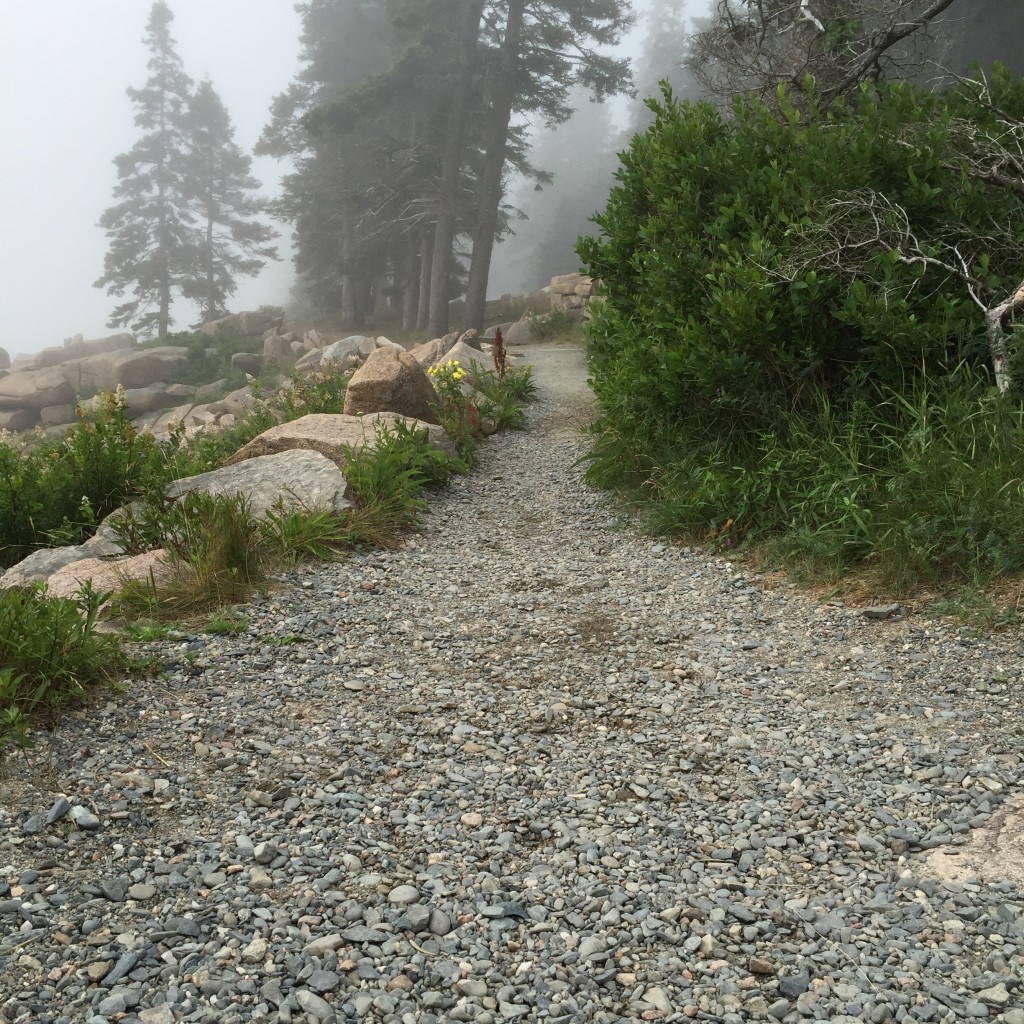 Best place to run in Acadia National Park