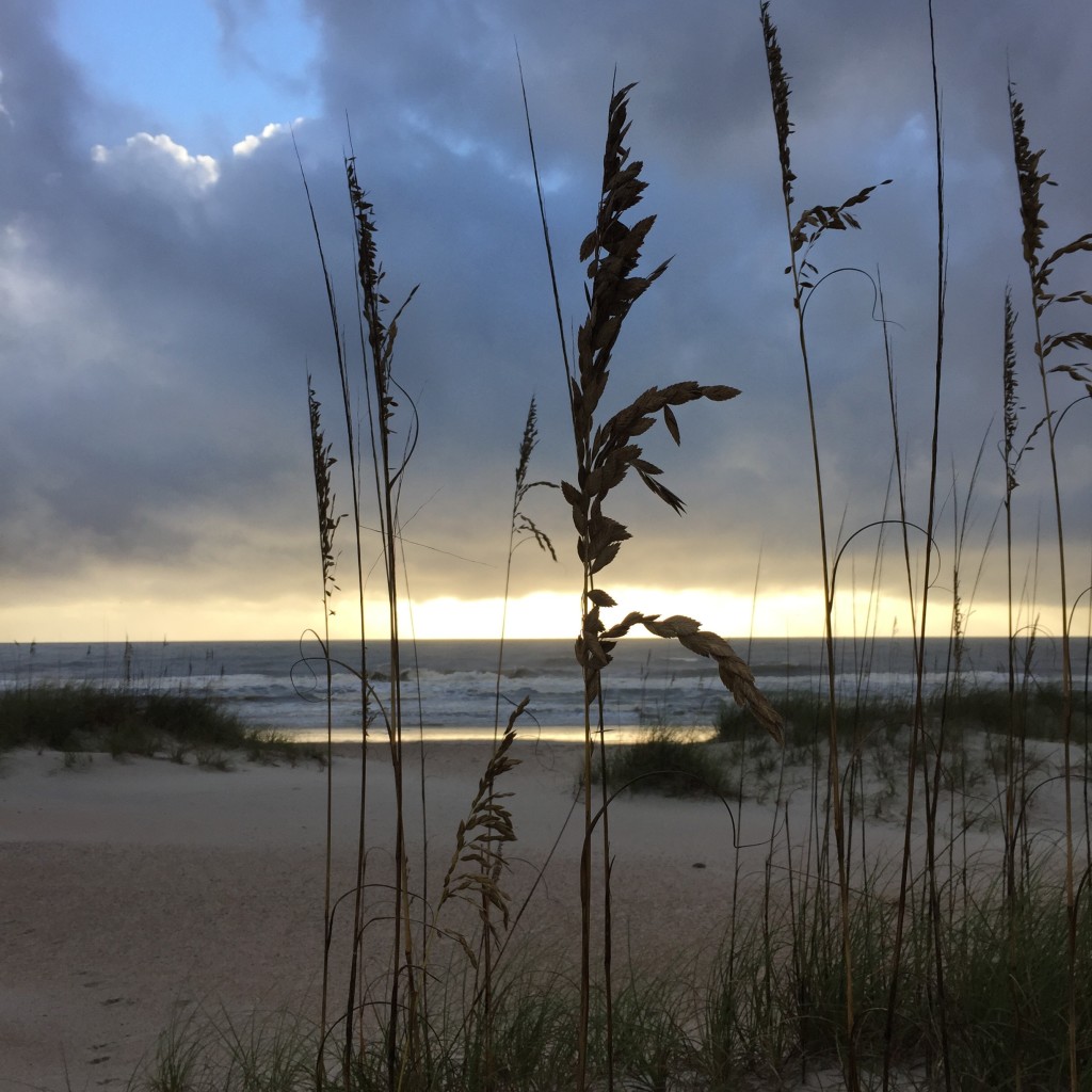 Running in Amelia Island on runladylike.com