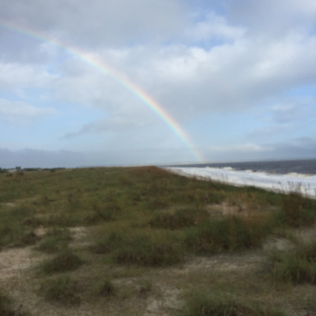 Running in Amelia Island on runladylike.com