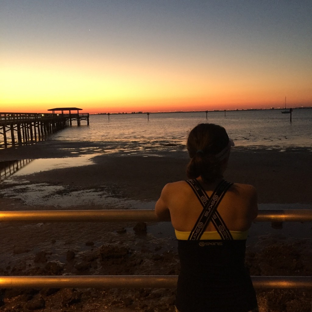 Rave Runs of 2016 on runladylike.com