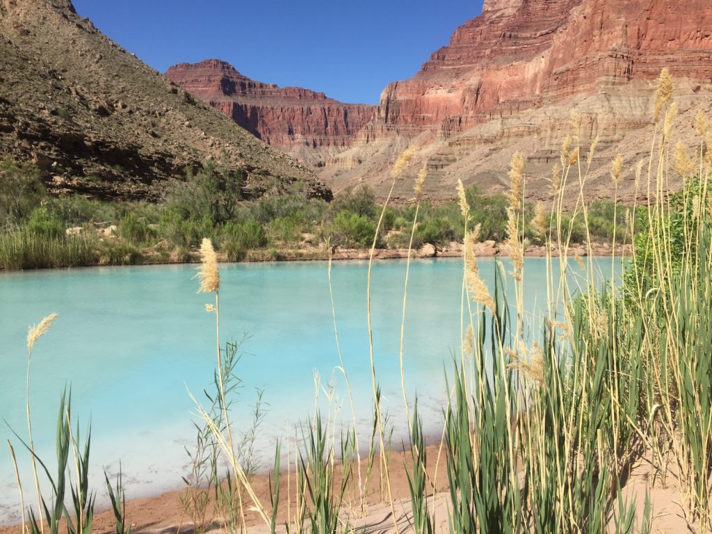 Grand Canyon Rafting Trip