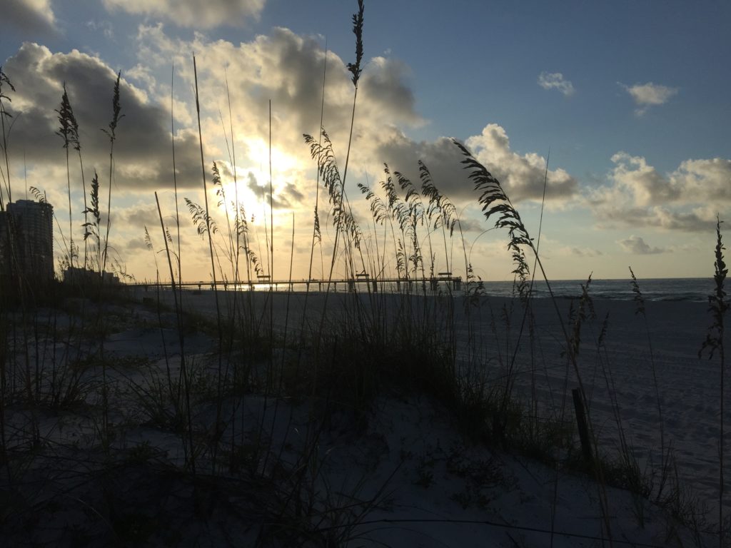 Best places to run in Gulf Shores and Orange Beach AL on runladylike.com