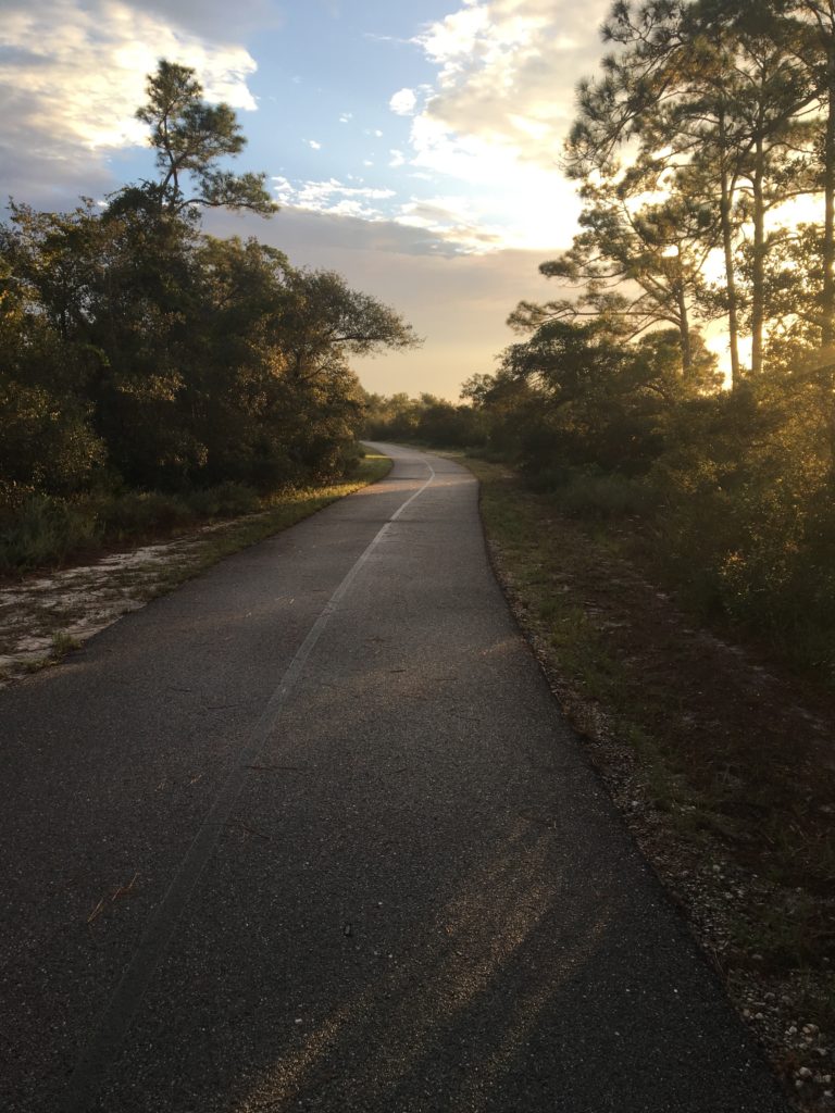 Best places to run in Gulf Shores and Orange Beach AL on runladylike.com