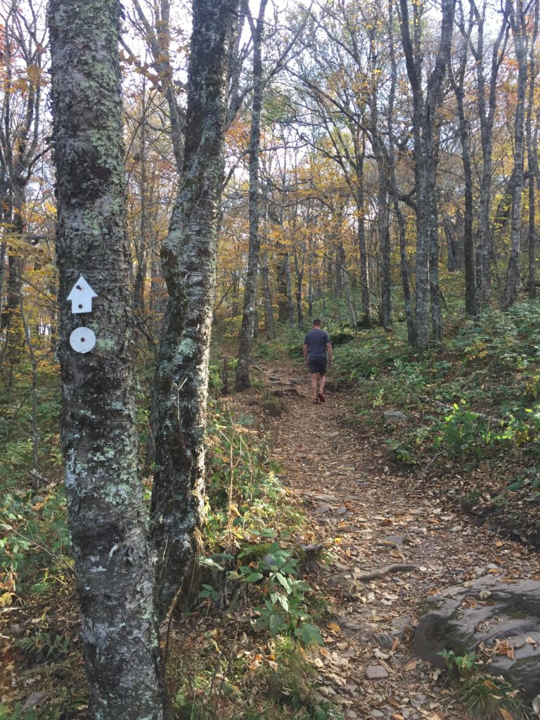 Hiking on the Blue Ridge Parkway