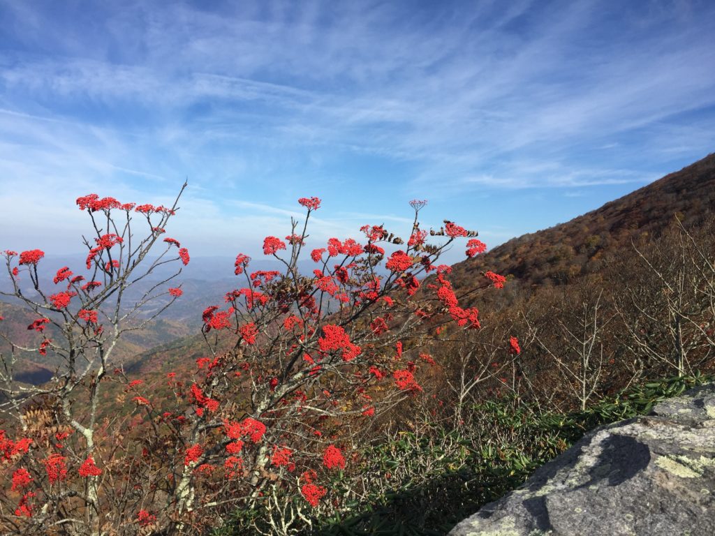 Hiking on the Blue Ridge Parkway