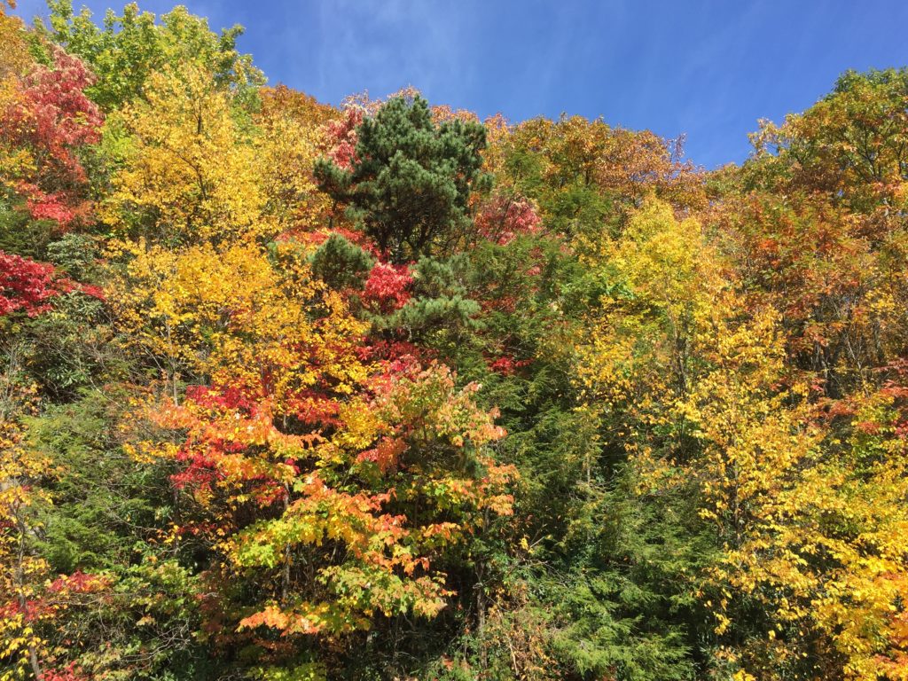 Hiking on the Blue Ridge Parkway