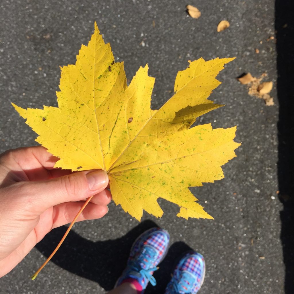 Hiking on the Blue Ridge Parkway