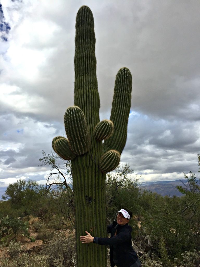 Visiting Saguaro National Park on runladylike.com