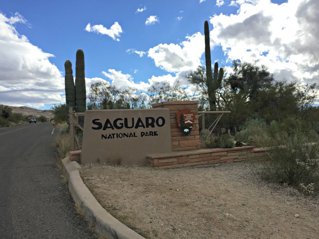 Visiting Saguaro National Park on runladylike.com