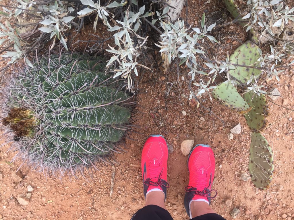 Visiting Saguaro National Park on runladylike.com